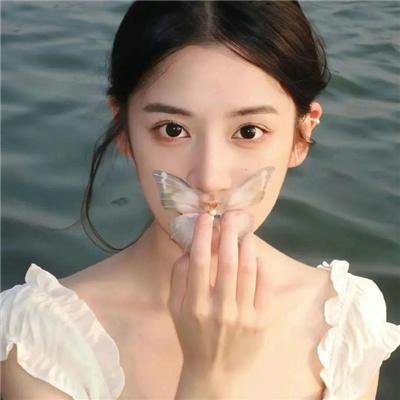 岛屿协奏曲