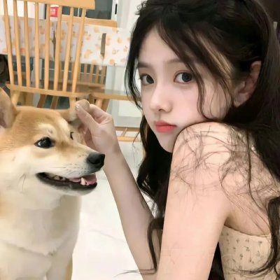 灰姑娘的全新冒险